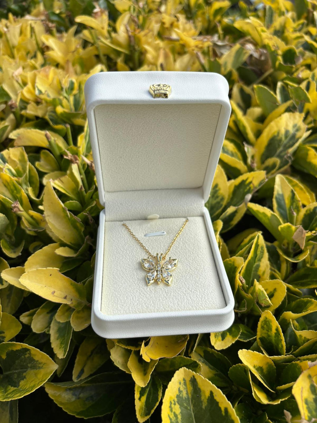 Çelik Kelebek Kolye (Kutusu ile)